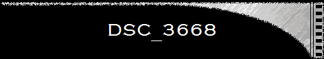 DSC_3668